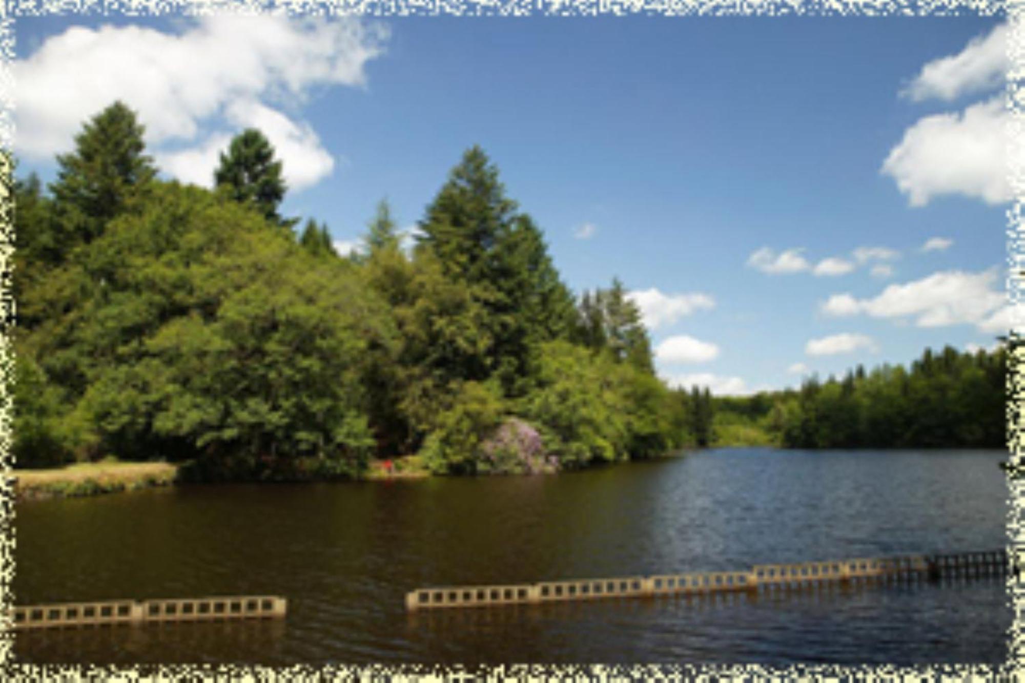 Hotellerie De Plein Air Camping Leychoisier Bonnac-la-Côte Exteriör bild